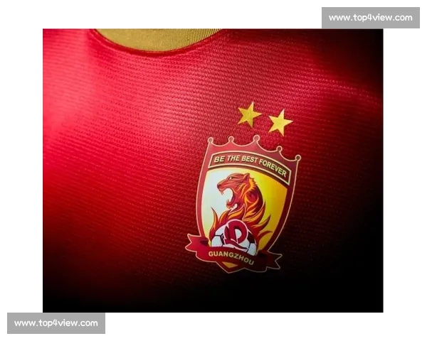 中超球队实力分析与排名评估全面解析各队竞争力与发展趋势